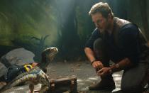 "Jurassic World: Das gefallene Königreich" (2018): Dino-Flüsterer Owen (Chris Pratt) und sein Liebling, Raptor-Dame Blue, ließen 2018 erneut die Kassen klingeln: 1,31 Milliarden Dollar spielte der zweite Teil der Neuauflage der Dino-Saga ein. (Bild: Universal Pictures)
