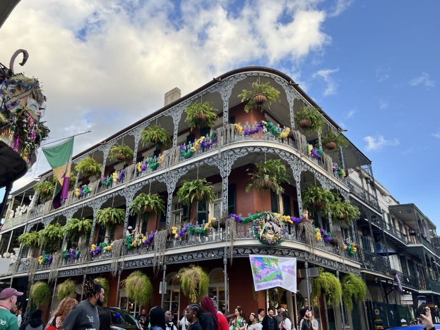 New Orleans French Quarter during Barkus parade on Sunday, Feb. 4, 2024. (WGNO/Rachel Hernandez)