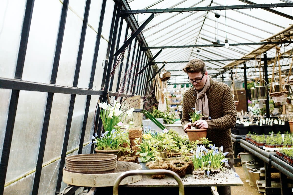 Thomas Broom Hughes, the director of horticulture at Petersham Nurseries (Handout)