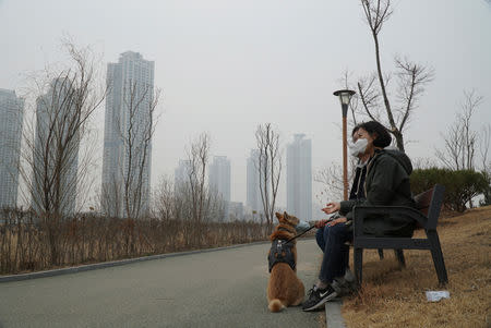 Cho Eun-hye takes a rest while walking her one-and-a-half-year-old Korean Jindo dog Hari, both wearing masks, on a poor air quality day in Incheon, South Korea, March 15, 2019. REUTERS/Hyun Young Yi