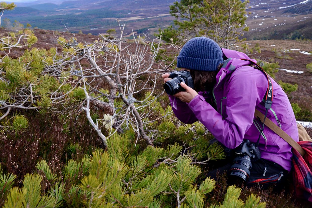 Dr Hobaiter in Cairngorms