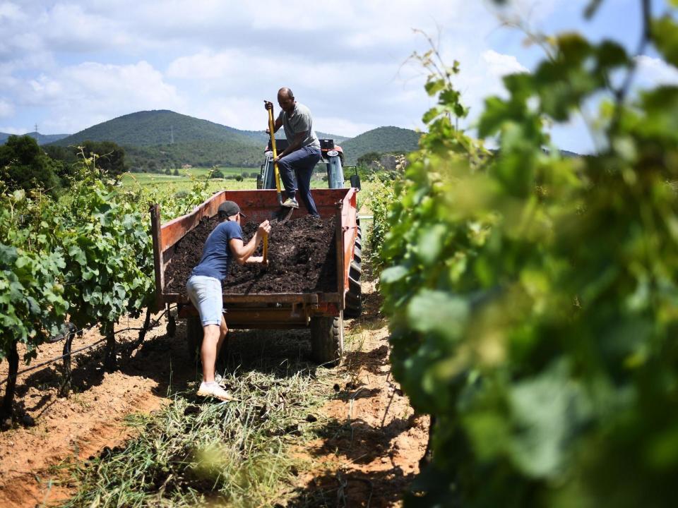 Organic farming produces more carbon emissions than traditional methods, a study has found: AFP/Getty