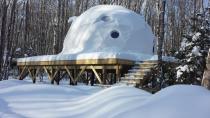 Treetop getaway: Geodesic domes coming to P.E.I.