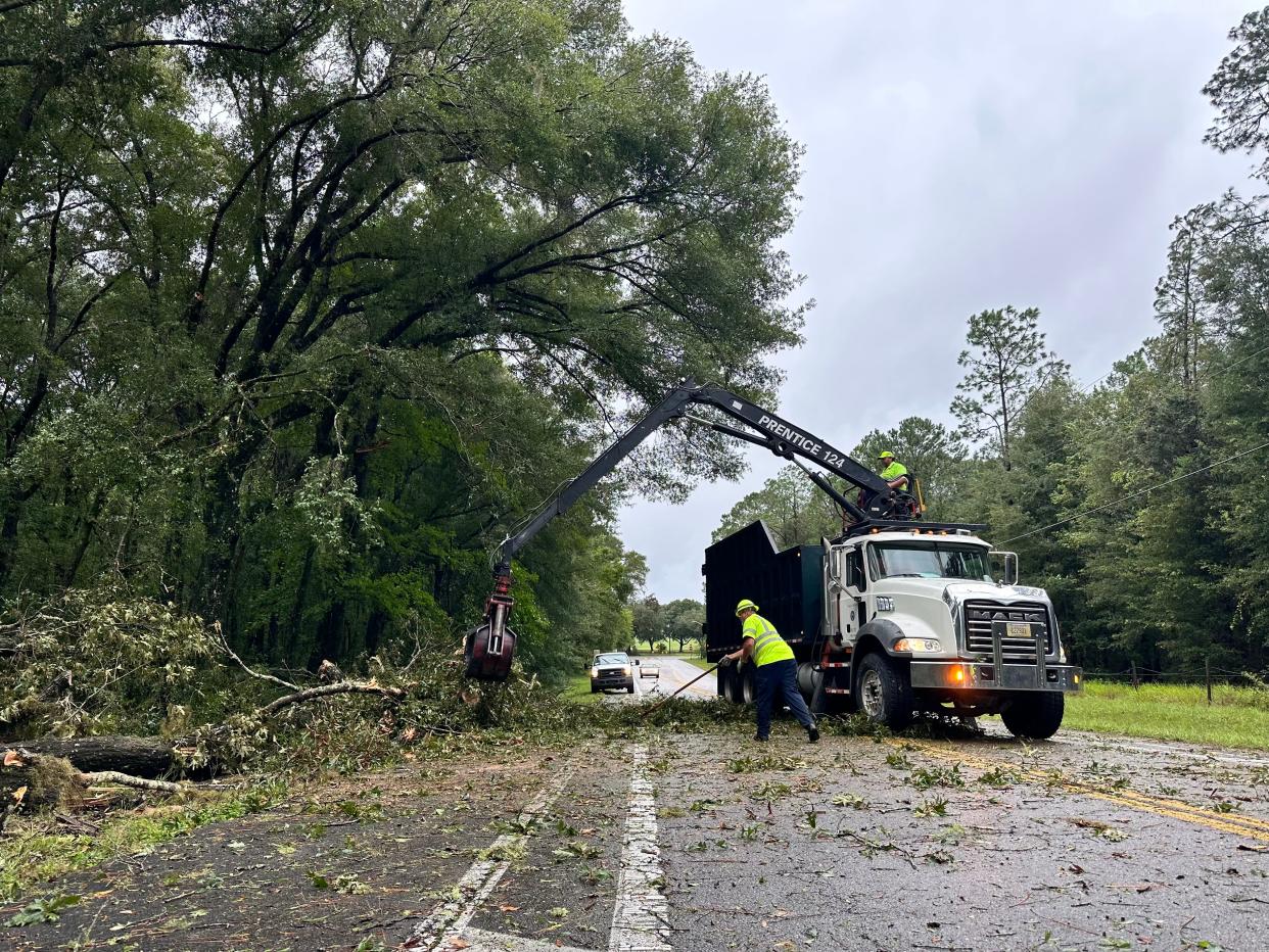 A crew works to remove a fallen free from the roadway along Millhopper Road near County Road 241 in Gainesville.