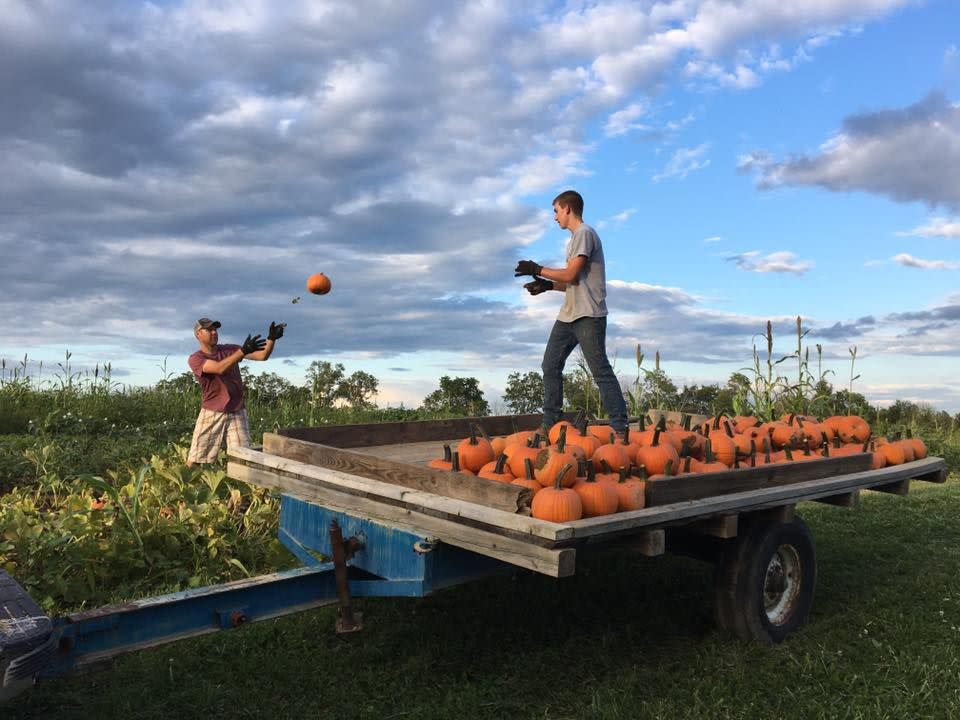 <p>Better bring your camera! There will be plenty of photos ops at <a href="http://www.countrypumpkinsky.com/" rel="nofollow noopener" target="_blank" data-ylk="slk:Country Pumpkins;elm:context_link;itc:0;sec:content-canvas" class="link ">Country Pumpkins</a>, an activity- and animal-packed farm in Dry Ridge, Kentucky's beautiful countryside. Once you've found the perfect pumpkin at their u-pick patch, your family can make your way over to their corn maze, hay maze, wagon ride, or petting zoo. </p><p><a class="link " href="https://go.redirectingat.com?id=74968X1596630&url=https%3A%2F%2Fwww.tripadvisor.com%2FAttractions-g39344-Activities-Dry_Ridge_Kentucky.html&sref=https%3A%2F%2Fwww.countryliving.com%2Flife%2Ftravel%2Fg21273436%2Fpumpkin-farms-near-me%2F" rel="nofollow noopener" target="_blank" data-ylk="slk:PLAN YOUR TRIP;elm:context_link;itc:0;sec:content-canvas">PLAN YOUR TRIP</a><br></p>