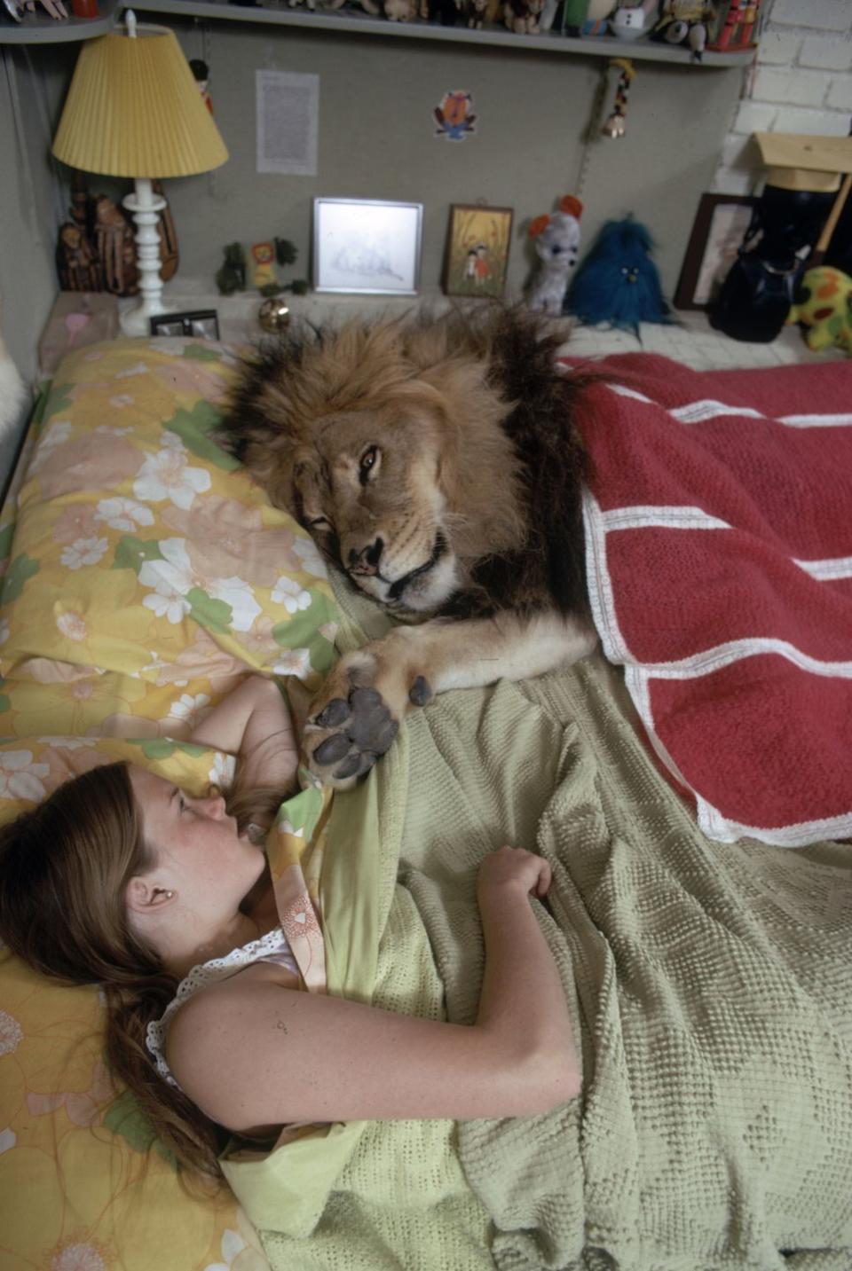 <p>Child actress Melanie Griffith shares her bed with her family pet, Neil the Lion, in 1971, after her mother, Tippi Hedren, became a lion conservationist in 1969. </p>