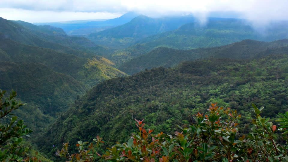 Black River Gorges National Park, Mauritius. - Holger Hollemann/dpa/picture alliance/AP