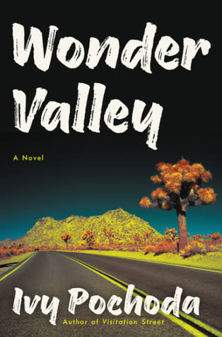 Picture of Wonder Valley Book