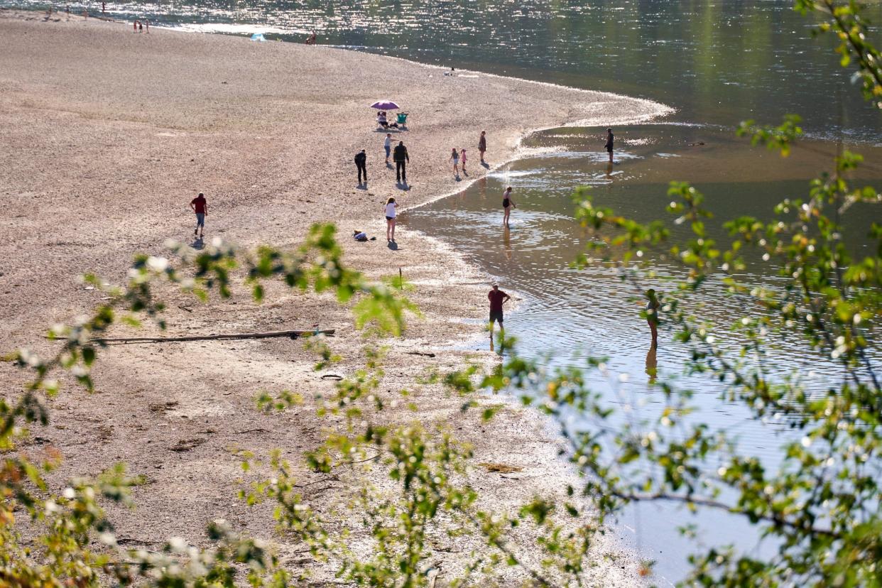 Sandbank im Rhein bei Oberwesel  - Copyright: Rolf Kosecki / Picture Alliance 