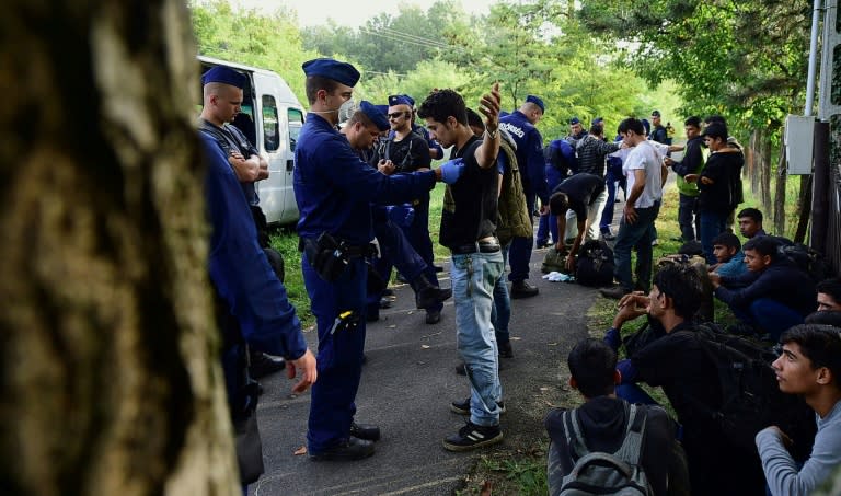 Migrants being arrested by Hungarian police near the village of Asotthalom on September 17, 2015