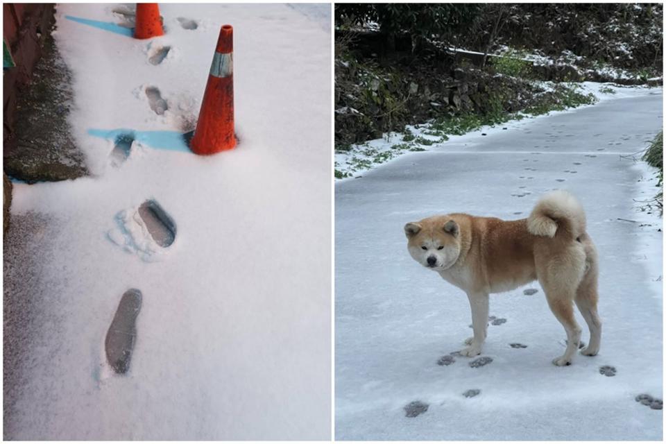 新竹尖石玉峰、秀巒村道路積雪已達5公分厚，店家卻開心不起來，傻眼表示「水源結冰無水可用」。（翻攝自「竹縣好好玩」臉書）