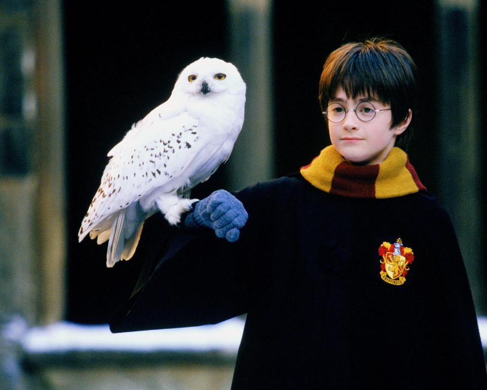 Harry Potter (2001)