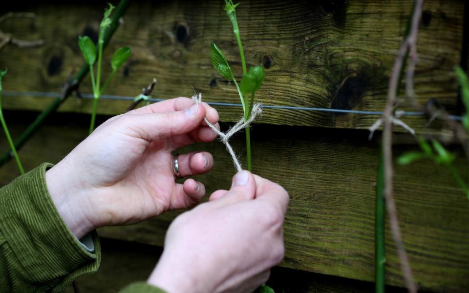 Use a double knot to loosely tie the string around the climber