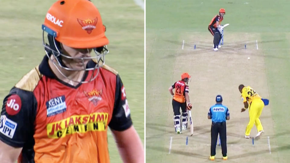 David Warner, pictured here in action for Sunrisers Hyderabad in the IPL.