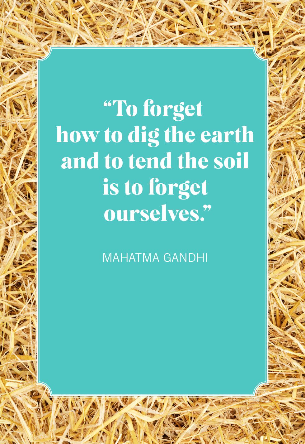 nature quotes mahatma gandhi