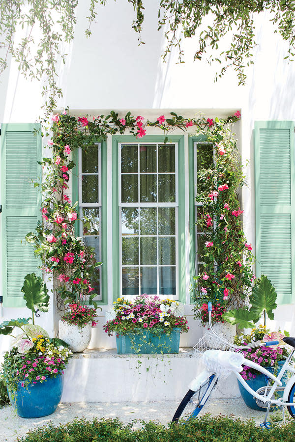 Frame with Blooms