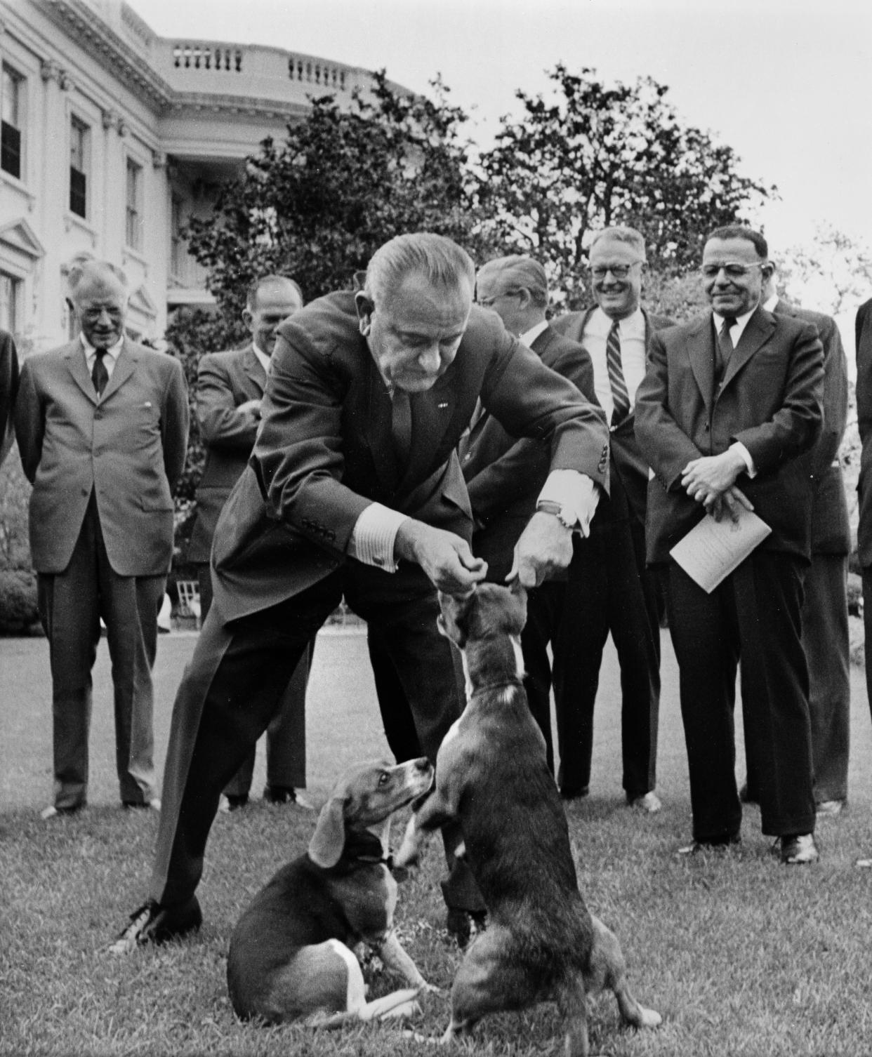 In this April 27, 1964, file photo  President Lyndon B. Johnson holds his dog "Her" by the ears as White House visitors look on the White House lawn, Washington. At left is President Johnson's other dog, "Him." This picture raised criticism from dog lovers. The arrival of the Biden pets will also mark the next chapter in a long history of pets residing at the White House after a four-year hiatus during the Trump administration. (AP Photo/Charles P. Gorry, File)