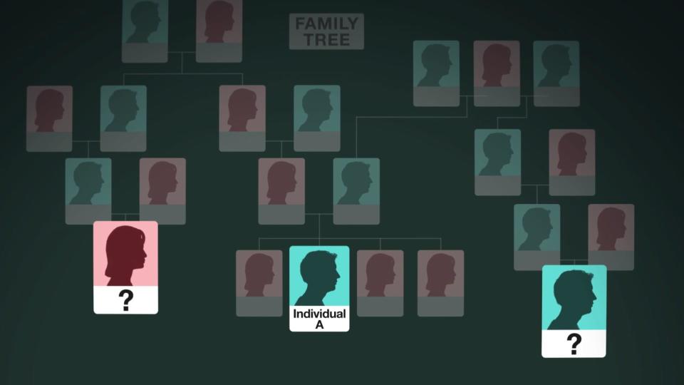 On the list were two people who shared enough DNA with Individual A to be his second cousins. / Credit: CBS News