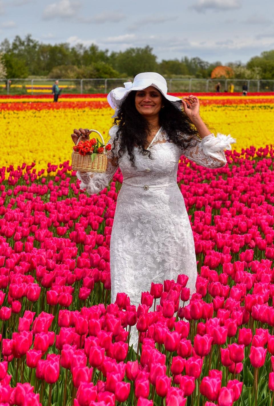 Eastern Daily Press: Bindu Kalaraj admires the tulip fields