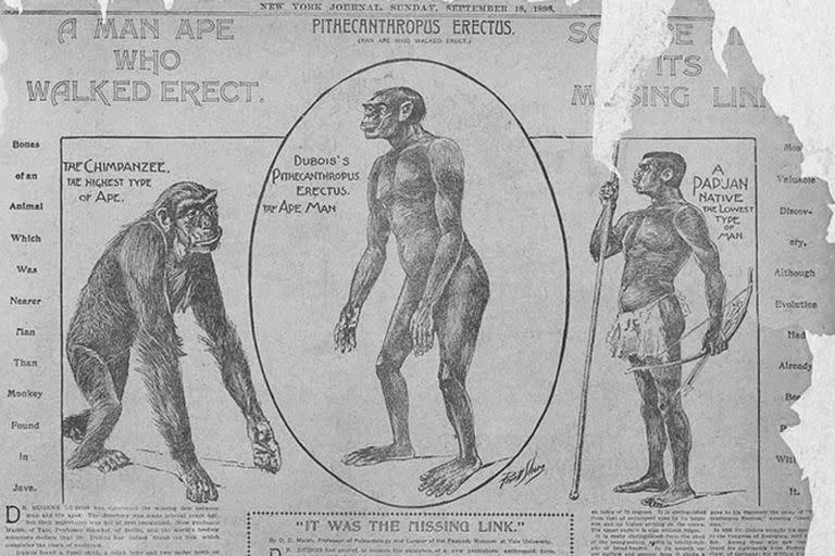 En 1898, el New York Journal anunciaba el hallazgo de los restos de "el hombre de Java" y aseguraba que se trataba de el eslabón perdido