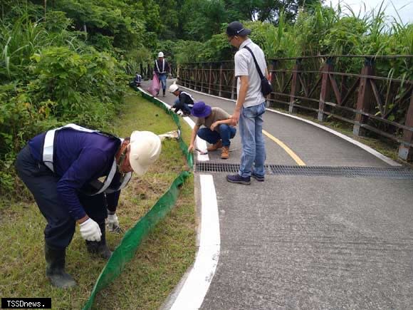 高灘處與荒野保護協會攜手合作設置護蟹廊道。(圖說:新北市政府高灘地工程管理處提供)