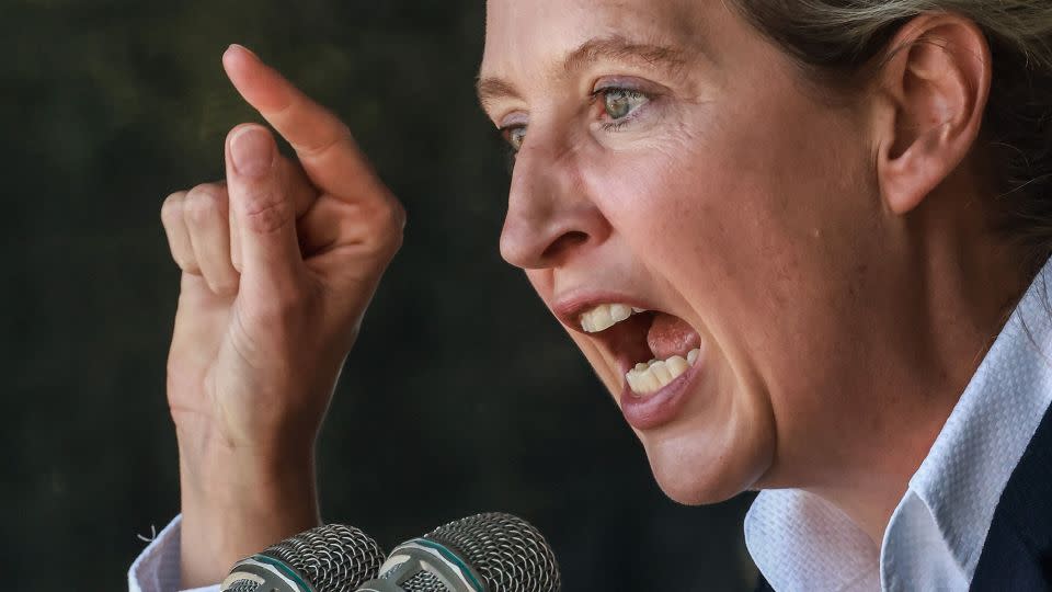 Alice Weidel, co-leader of the AfD, speaks during the final election campaign rally in Erfurt, Germany, on Saturday. - Clemens Bilan/EPA-EFE/Shutterstock