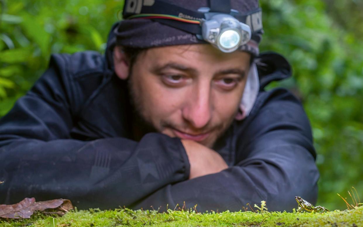 Jaime Culebras was determined to find a mate for one of the last remaining morona-santiago harlequin frogs