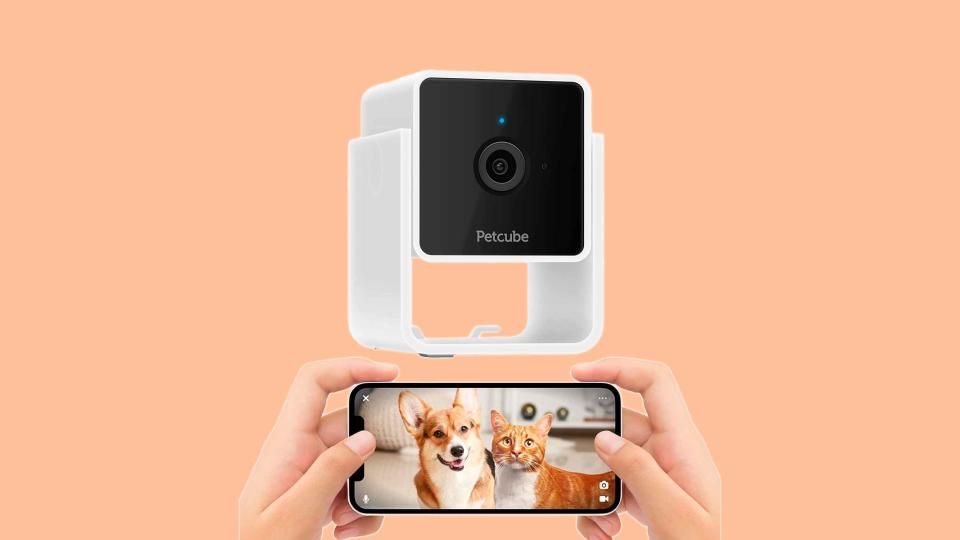 Save 40% on one of our favorite smart pet cameras, the Petcube Cam, on Amazon Pet Day.
