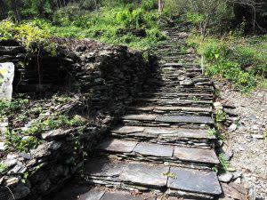 舊筏灣保存一條「整建停工」的步道，並以此為戒。 | The old trail is preserved in the Old Fawan.(Courtesy of Xin Media)