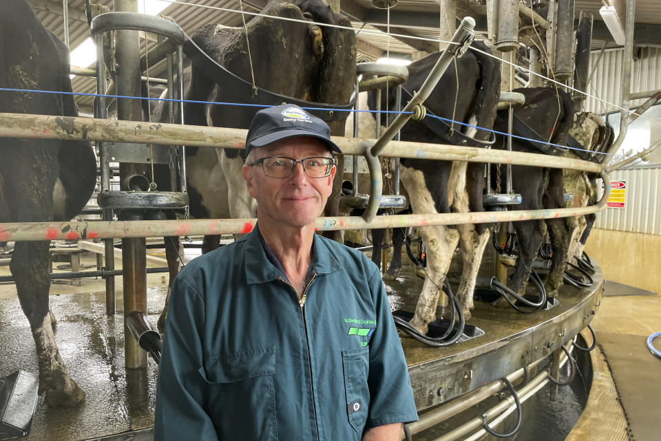 Dairy farmer Aidan Bichan poses in front of cows as they are being milked at Kaiwaiwai Dairies on Nov. 2, 2022, in Featherston, New Zealand. New Zealand scientists are coming up with some surprising solutions for how to reduce methane emissions from farm animals. (AP Photo/Nick Perry)