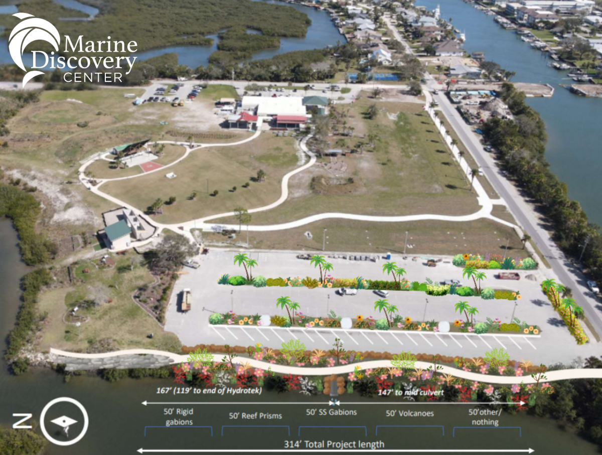 Marine Discovery Center in New Smyrna Says Goodbye to Parking Lot, Welcomes Living Shoreline