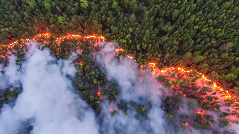 氣候危機在全球各地層出不窮，引發大火、熱浪、乾旱、暴雨、水患等極端天氣事件。