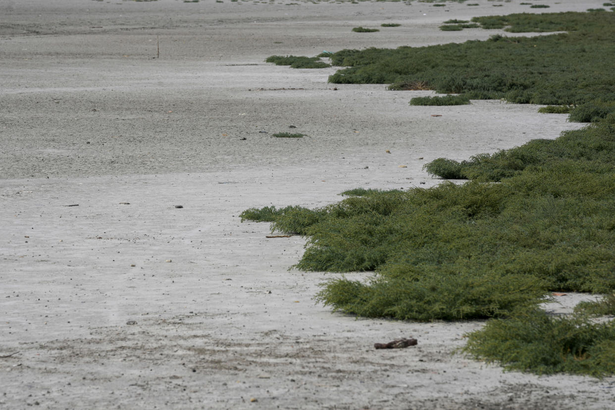 The dried out Rusanda salty lake whose mud is used in medical therapy, near Melenci, Serbia, Wednesday, Sept. 4, 2024. Experts say the summer of 2024 in the Balkans was the hottest since measurements started more than 130 years ago. (AP Photo/Darko Vojinovic)