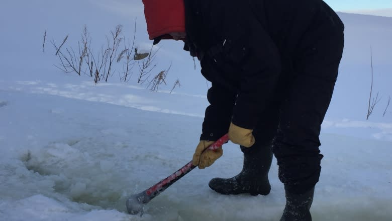 Tsiigehtchic, N.W.T., elder wants government to solve drainage problem near cabin