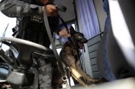 Police train dogs to participate in security operations related to the upcoming 2014 World Cup in Brasilia March 13, 2014. Twenty-three dogs are being trained to detect explosives, drugs, and weapons. REUTERS / Ueslei Marcelino (BRAZIL - Tags: SPORT SOCCER WORLD CUP ANIMALS)