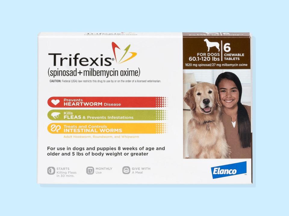 A box of Trifexis for Dogs, one of the best dog worm prevention medicines in 2023, featuring a child sitting with a golden retriever is set on a blue background.