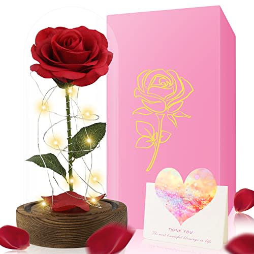 2022 Beauty and The Beast Rose - Enchanted Red Silk Rose in Glass Dome with LED Light - Romantic Rose Kit - for Best Gifts Valentine's Day & Girlfriend & Wedding Anniversary & Birthday