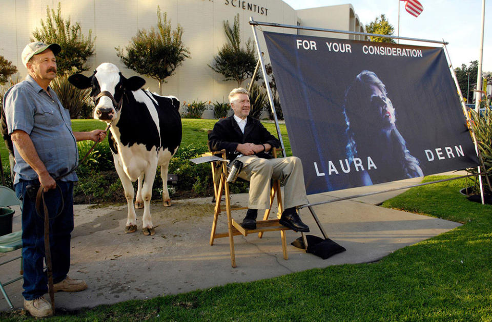 Inland Empire writer/director David Lynch (R) is joined by a live cow and its handler Mike Fanning as he promotes the film's star Laura Dern for awards season at the intersection of Hollywood Blvd. and La Brea Ave. in Los Angeles, December 13, 2006. Lynch said he was performing the stunt to promote Laura Dern for every award because he believed she gave the best performance of the year and one that will live on in time.