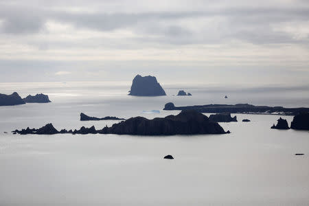 A view shows Hero Bay, Antarctica, February 19, 2018. REUTERS/Alexandre Meneghini