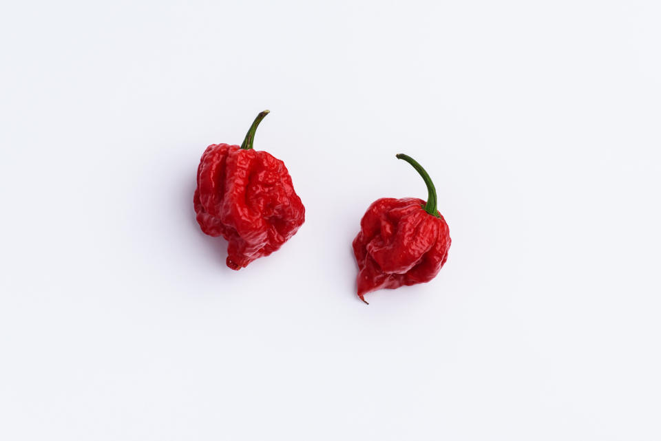 Hot Chilli Carolina Reaper isolated on white. Carolina Reapers have been previously measured at more than 2 million Scoville heat units. (Getty)