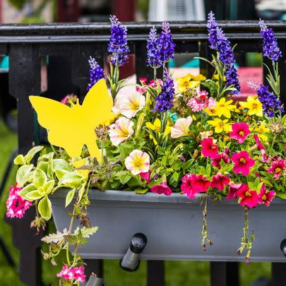 These sticky fruit fly traps are a handy buy if you're planning some gardening any time soon