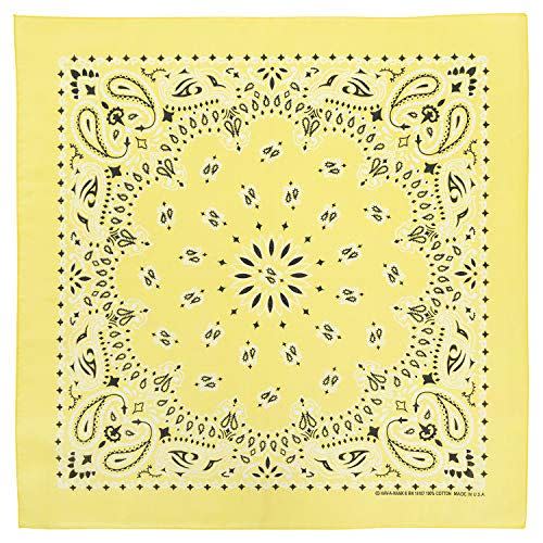 Paisley Bandana