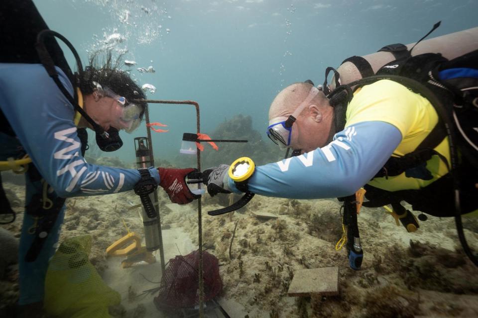 PHOTO: WHOI biologists Nadege Aoki (L) and Aran Mooney install an underwater speaker system to broadcast healthy reef sounds, off the coast of the U.S Virgin Islands. (Dan Mele, ©Woods Hole Oceanographic Institution)