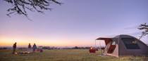 What it’s like to walk through Kenya’s Maasai Mara with lions for company