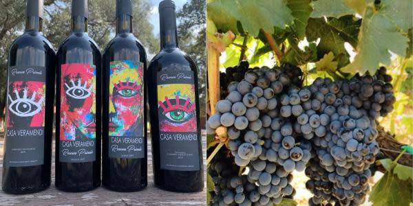 Conoce el vino de Tecate que ganó un concurso internacional: Baja Window to the South