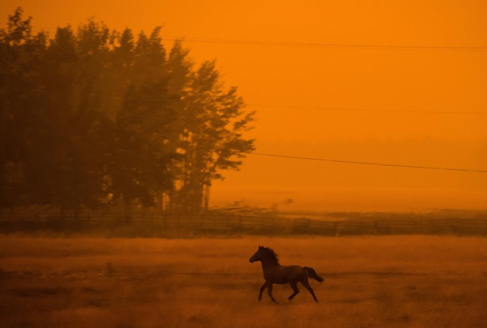 PHOTOS: B.C. wildfires choke western Canada in smoke