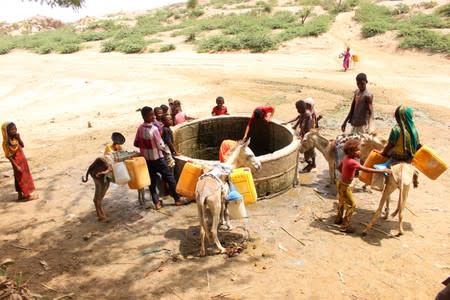 Children pull water from a water well in the village of Islim in the northern province of Hajjah