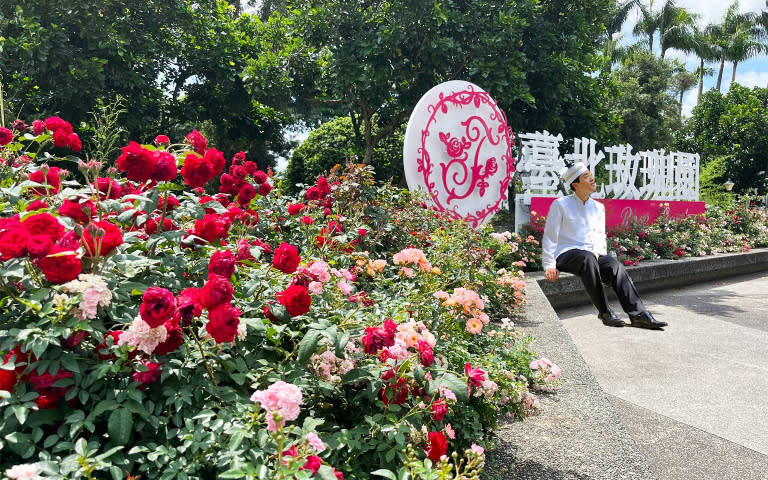 2024臺北玫瑰展即日起至3/31於臺北花博公園新生園區登場，展示來自世界各地超過800種珍貴玫瑰。 （圖／業者提供）