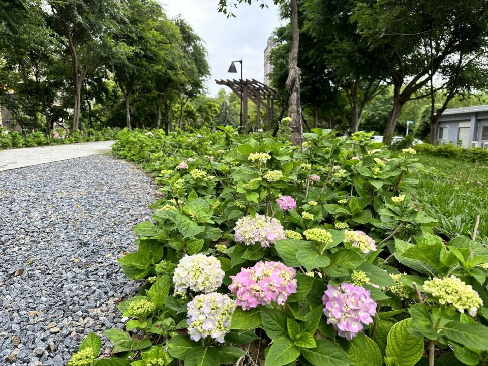 他說，草花公園內鄰近污水廠側，種植了淨化空氣之香草植物清新又美觀，且公園內所有的植物都採用回收水進行澆灌，而回收水的來源即為污水廠利用MBR薄膜生物處理法，淨化生活污水之後得來的，既省水又環保，塑造污水廠成為一個水資源永續又清新舒適的樣貌。