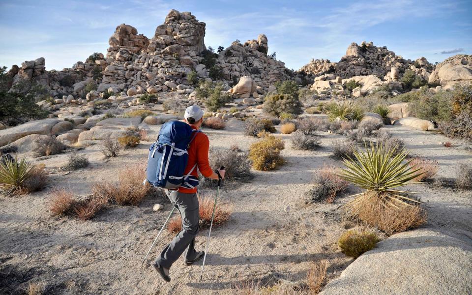 Joshua Tree (Cont.)